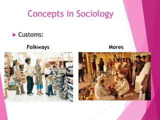 Concepts in Sociology
 Customs:
Folkways Mores
 