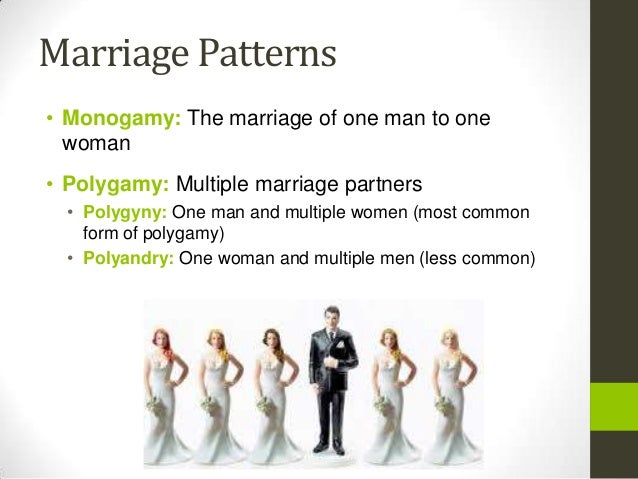 polygamy vs monogamy essay polygamy vs monogamy essay