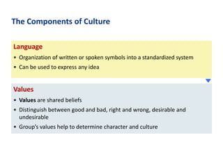The Components of Culture
Language
• Organization of written or spoken symbols into a standardized system
• Can be used to express any idea

Values
• Values are shared beliefs
• Distinguish between good and bad, right and wrong, desirable and
undesirable
• Group’s values help to determine character and culture

 