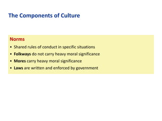The Components of Culture

Norms
• Shared rules of conduct in specific situations
• Folkways do not carry heavy moral significance
• Mores carry heavy moral significance

• Laws are written and enforced by government

 