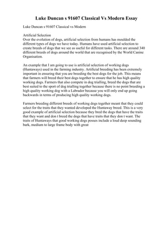Luke Duncan s 91607 Classical Vs Modern Essay
Luke Duncan s 91607 Classical vs Modern
Artificial Selection
Over the evolution of dogs, artificial selection from humans has moulded the
different types of dogs we have today. Humans have used artificial selection to
create breeds of dogs that we see as useful for different tasks. There are around 340
different breeds of dogs around the world that are recognised by the World Canine
Organisation.
An example that I am going to use is artificial selection of working dogs
(Huntaways) used in the farming industry. Artificial breeding has been extremely
important in ensuring that you are breeding the best dogs for the job. This means
that farmers will breed their best dogs together to ensure that he has high quality
working dogs. Farmers that also compete in dog trialling, breed the dogs that are
best suited to the sport of dog trialling together because there is no point breeding a
high quality working dog with a Labrador because you will only end up going
backwards in terms of producing high quality working dogs.
Farmers breeding different breeds of working dogs together meant that they could
select for the traits that they wanted developed the Huntaway breed. This is a very
good example of artificial selection because they bred the dogs that have the traits
that they want and don t breed the dogs that have traits that they don t want. The
traits of Huntaways that good working dogs posses include a loud deep sounding
bark, medium to large frame body with great
 