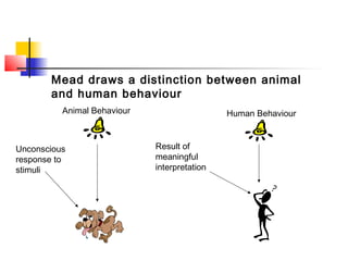 Mead draws a distinction between animal
       and human behaviour
          Animal Behaviour                    Human Behaviour



Unconscious                  Result of
response to                  meaningful
stimuli                      interpretation
 