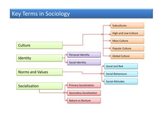 Key Terms in Sociology
                                                    Subcultures

                                                    High and Low Culture

                                                    Mass Culture
  Culture
                                                    Popular Culture

                     Personal Identity              Global Culture
  Identity
                     Social Identity
                                               Good and Bad

  Norms and Values                             Social Behaviours

                                               Social Attitudes
  Socialisation      Primary Socialisation

                     Secondary Socialisation

                     Nature vs Nurture
 