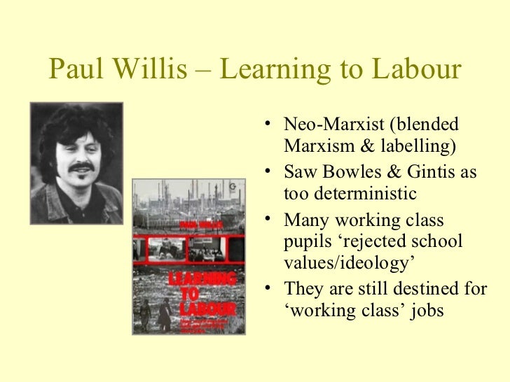 paul willis learning to labour Paul willis: learning to labour series: classic collection in this programme willis talks about how his interest in culture and counter culture led him into. paul willis learning to labour Paul willis: learning to labour series: classic collection in this programme willis talks about how his interest in culture and counter culture led him into.