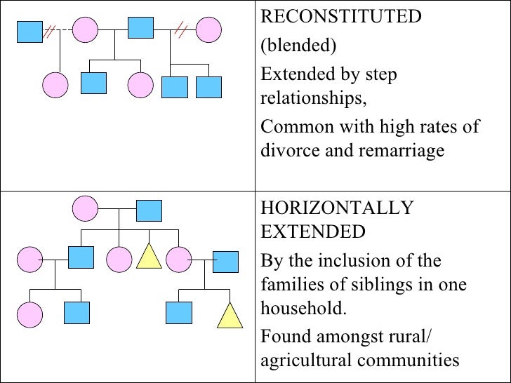 Extended Family In Sociology _ extended family definition – MRCQ