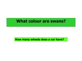 What colour are swans? How many wheels does a car have? 