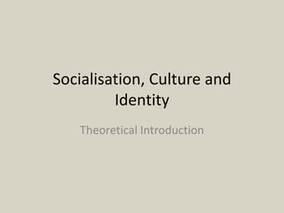 Socialisation, Culture and
         Identity
   Theoretical Introduction
 