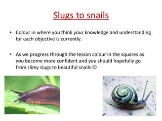 Slugs to snails
• Colour in where you think your knowledge and understanding
  for each objective is currently.

• As we progress through the lesson colour in the squares as
  you become more confident and you should hopefully go
  from slimy slugs to beautiful snails 
 