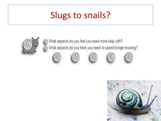 Slugs to snails?
 