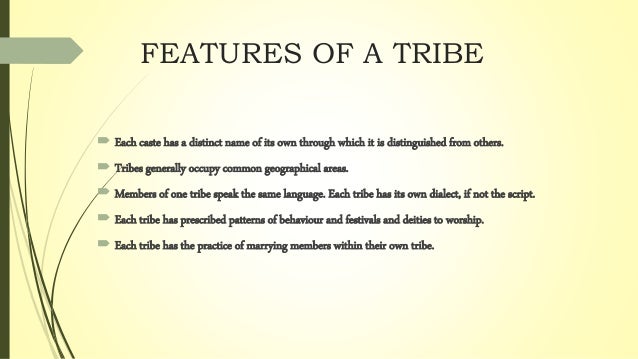 Tribal Community