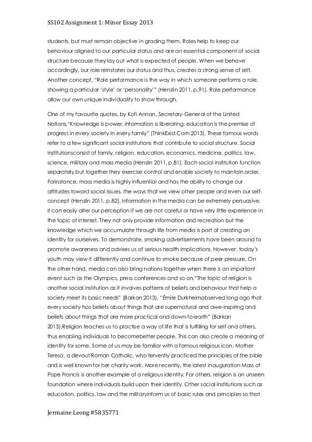sociology minor essay 1 social structure essay
