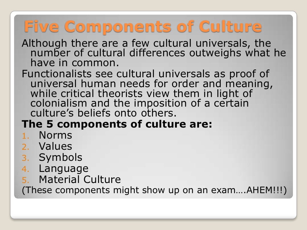 Sociology Of Culture