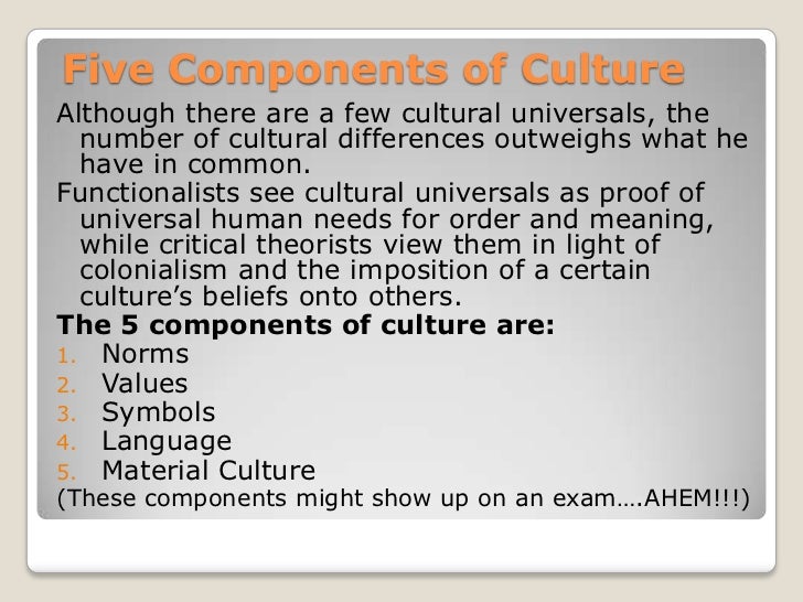 What are the six basic elements of culture?