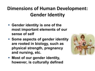 Dimensions of Human Development:
Gender Identity
 Gender identity is one of the
most important elements of our
sense of self
 Some aspects of gender identity
are rooted in biology, such as
physical strength, pregnancy
and nursing, etc.
 Most of our gender identity,
however, is culturally defined
 