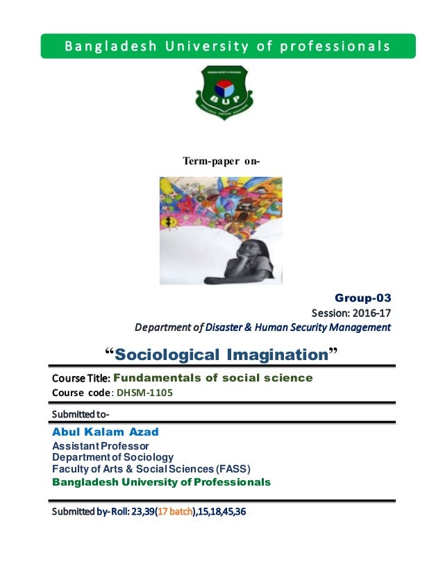 Term paper sociology