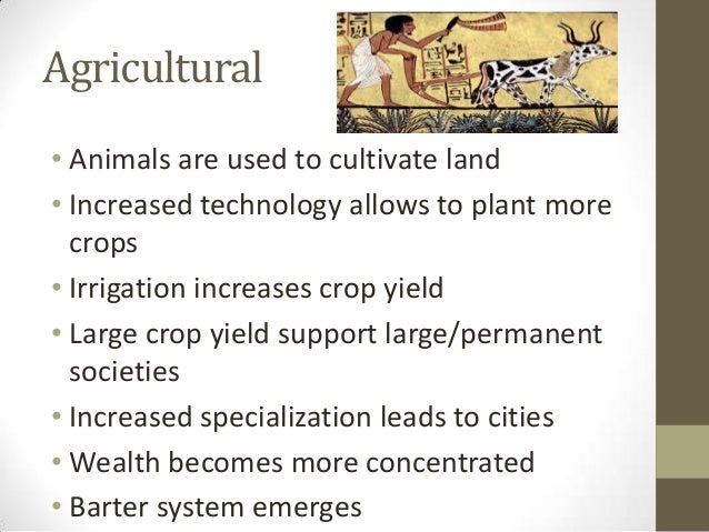 Sociology Unit 2: Culture and Society Sociology Unit 2: Culture and Society