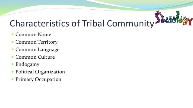 Introduction To Sociology