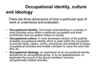 Sociology work and industry 5th edition slides | PPT
