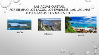 LAS AGUAS QUIETAS.
POR EJEMPLO LOS LAGOS, LOS EMBALSES, LAS LAGUNAS
LOS OCEANOS, LOS MARES ETC .
LAGO
EMBALSES
MARES
 
