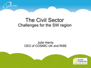 The Civil Sector  Challenges for the SW region  Julie Harris CEO of COSMIC UK and RISE 
