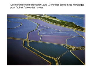 Des canaux ont été créés par Louis IX entre les salins et les marécages
pour faciliter l’accès des navires.
 