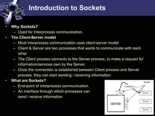 Socket Programming Tutorial 1227317798640739 8 | PPT