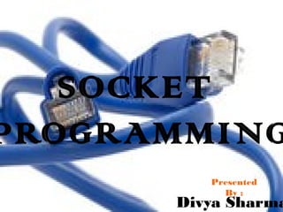 SOCKET
PROGRAMMING
Presented
By :

Divya Sharma

 