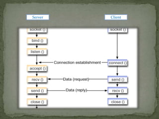 Socket programming | PPT