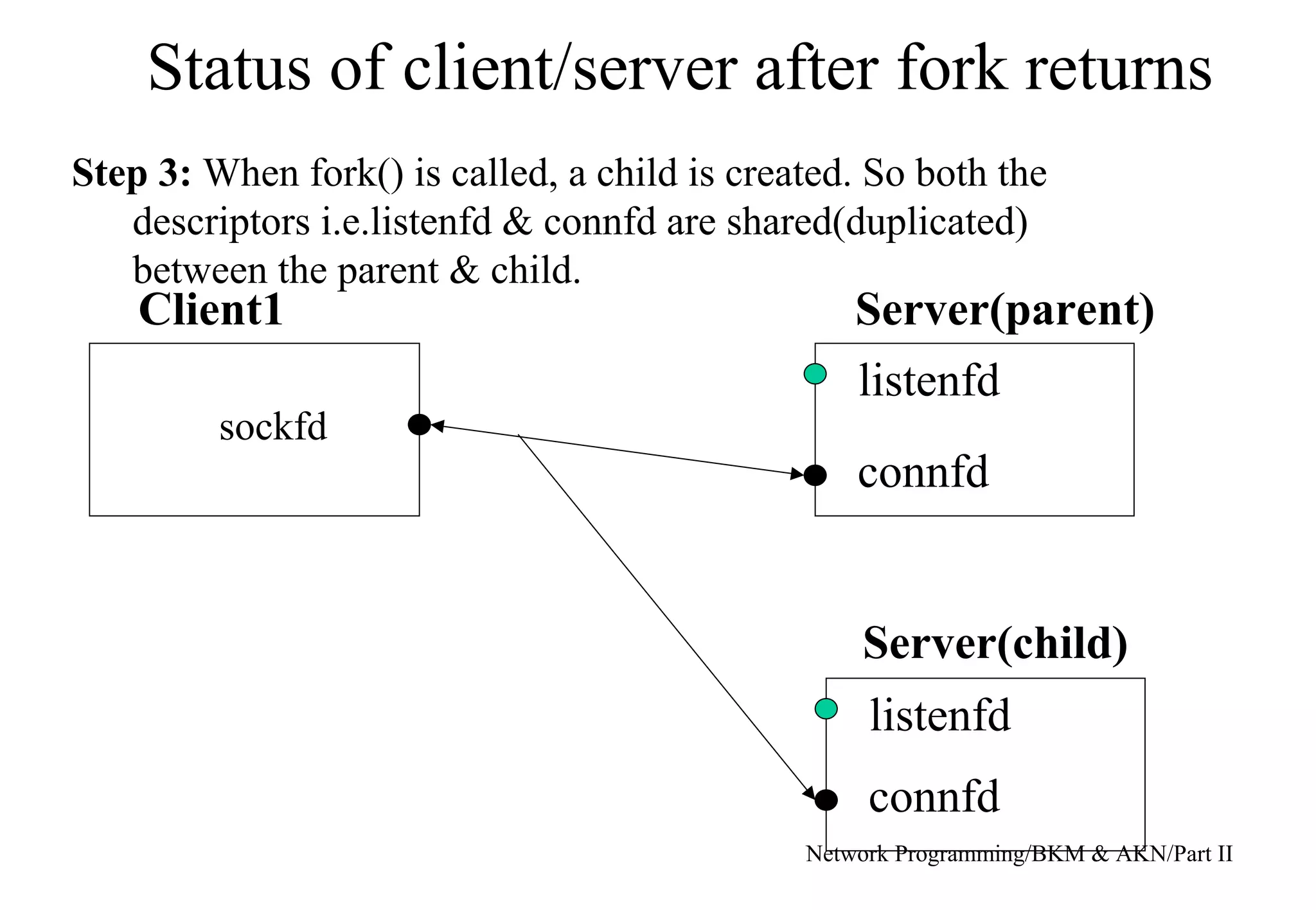 Status of client/server after fork returns
Network Programming/BKM & AKN/Part II
Step 3: When fork() is called, a child is created. So both the
descriptors i.e.listenfd & connfd are shared(duplicated)
between the parent & child.
sockfd
listenfd
listenfd
connfd
connfd
Client1 Server(parent)
Server(child)
 