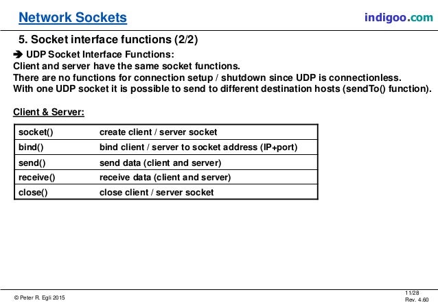 Network Sockets