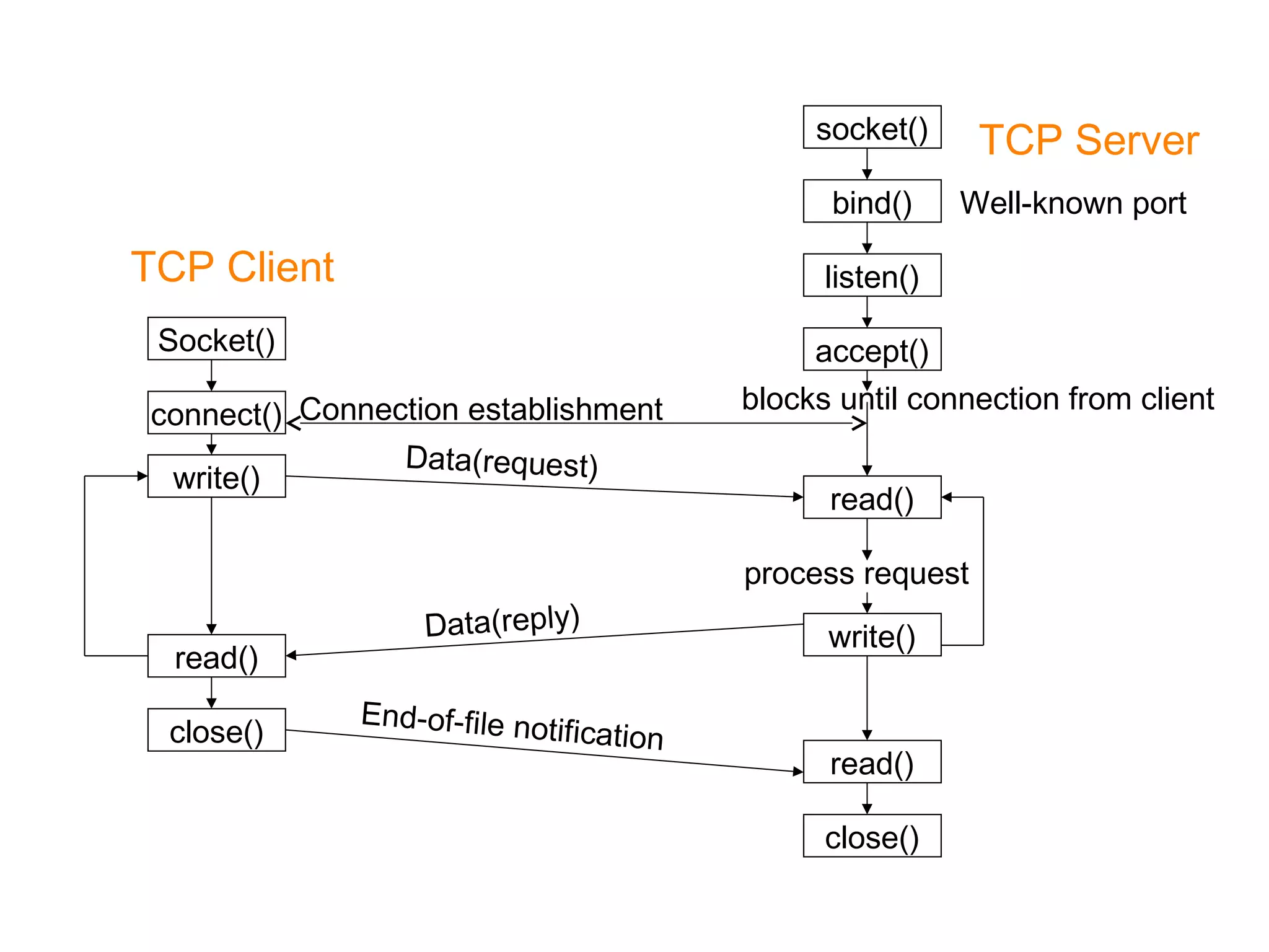 socket()
bind()
listen()
accept()
read()
write()
read()
close()
Socket()
connect()
write()
read()
close()
TCP Client
TCP Server
Well-known port
blocks until connection from client
process request
Connection establishment
Data(request)
Data(reply)
End-of-file notification
 