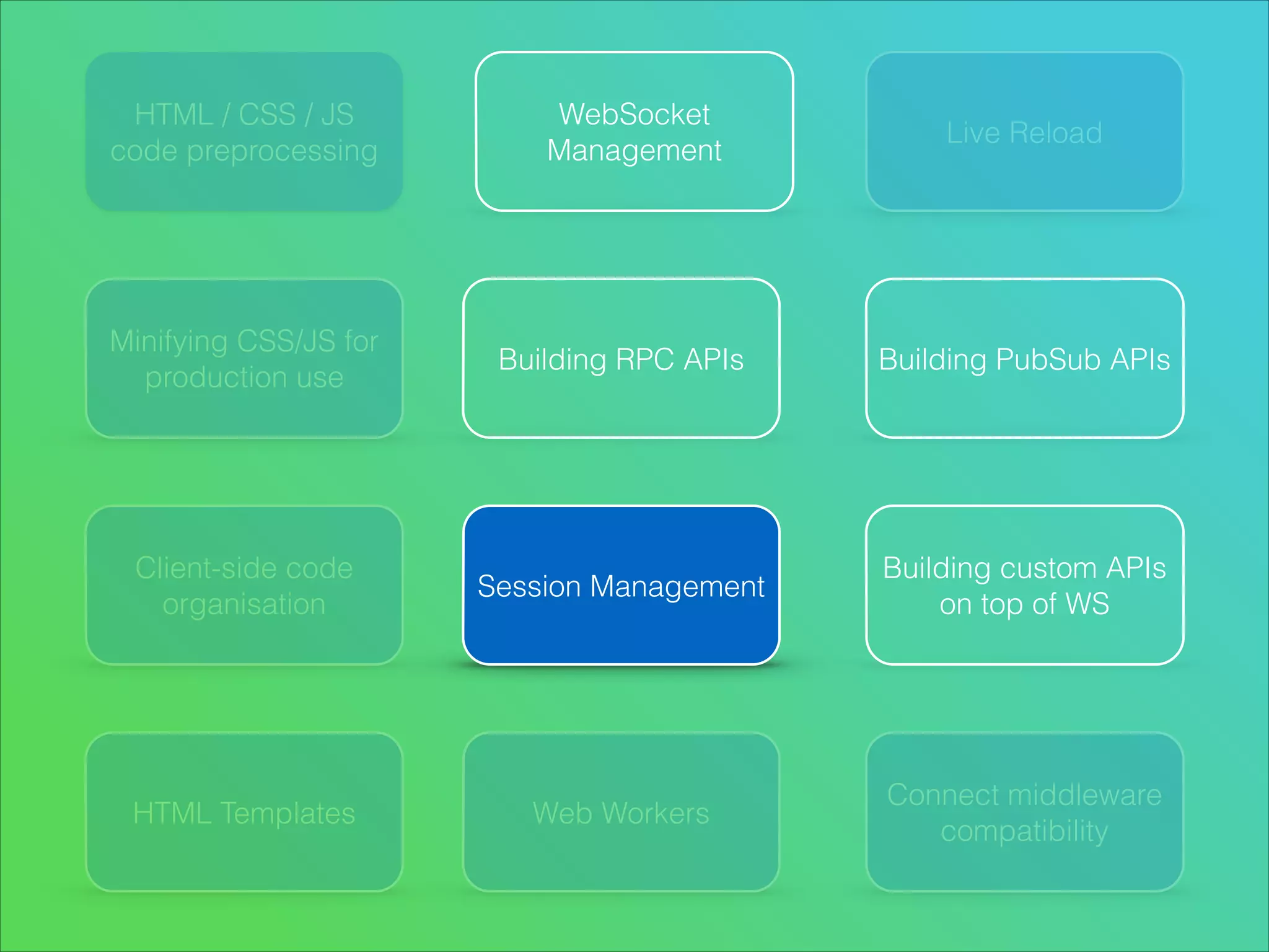 HTML / CSS / JS
code preprocessing

Minifying CSS/JS for
production use

Client-side code
organisation

HTML Templates

WebSocket
Management

Live Reload

Building RPC APIs

Building PubSub APIs

Session Management

Building custom APIs
on top of WS

Web Workers

Connect middleware
compatibility

 