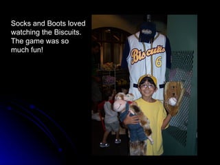 Socks and Boots loved watching the Biscuits.  The game was so much fun! 