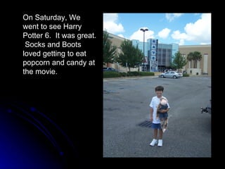 On Saturday, We went to see Harry Potter 6.  It was great.  Socks and Boots loved getting to eat popcorn and candy at the movie. 