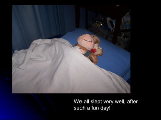 We all slept very well, after such a fun day! 