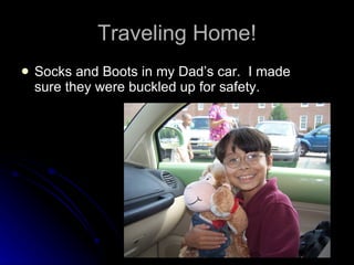 Traveling Home! Socks and Boots in my Dad’s car.  I made sure they were buckled up for safety. 