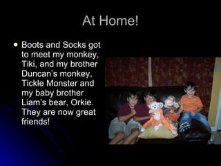 At Home! Boots and Socks got to meet my monkey, Tiki, and my brother Duncan’s monkey, Tickle Monster and my baby brother Liam’s bear, Orkie.  They are now great friends! 