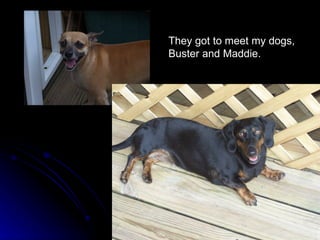 They got to meet my dogs,  Buster and Maddie. 