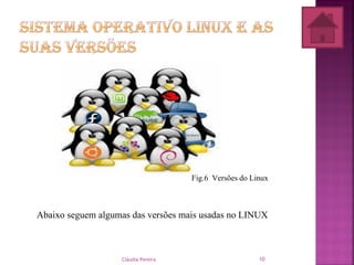 Abaixo seguem algumas das versões mais usadas no LINUX
Fig.6 Versões do Linux
Cláudia Pereira 10
 