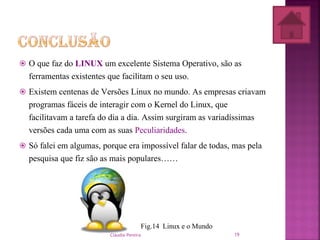  O que faz do LINUX um excelente Sistema Operativo, são as
ferramentas existentes que facilitam o seu uso.
 Existem centenas de Versões Linux no mundo. As empresas criavam
programas fáceis de interagir com o Kernel do Linux, que
facilitavam a tarefa do dia a dia. Assim surgiram as variadíssimas
versões cada uma com as suas Peculiaridades.
 Só falei em algumas, porque era impossível falar de todas, mas pela
pesquisa que fiz são as mais populares……
Fig.14 Linux e o Mundo
Cláudia Pereira 19
 