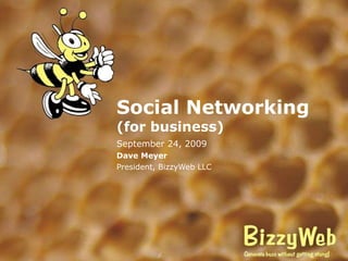 Social Networking (for business) September 24, 2009 Dave Meyer President, BizzyWeb LLC 