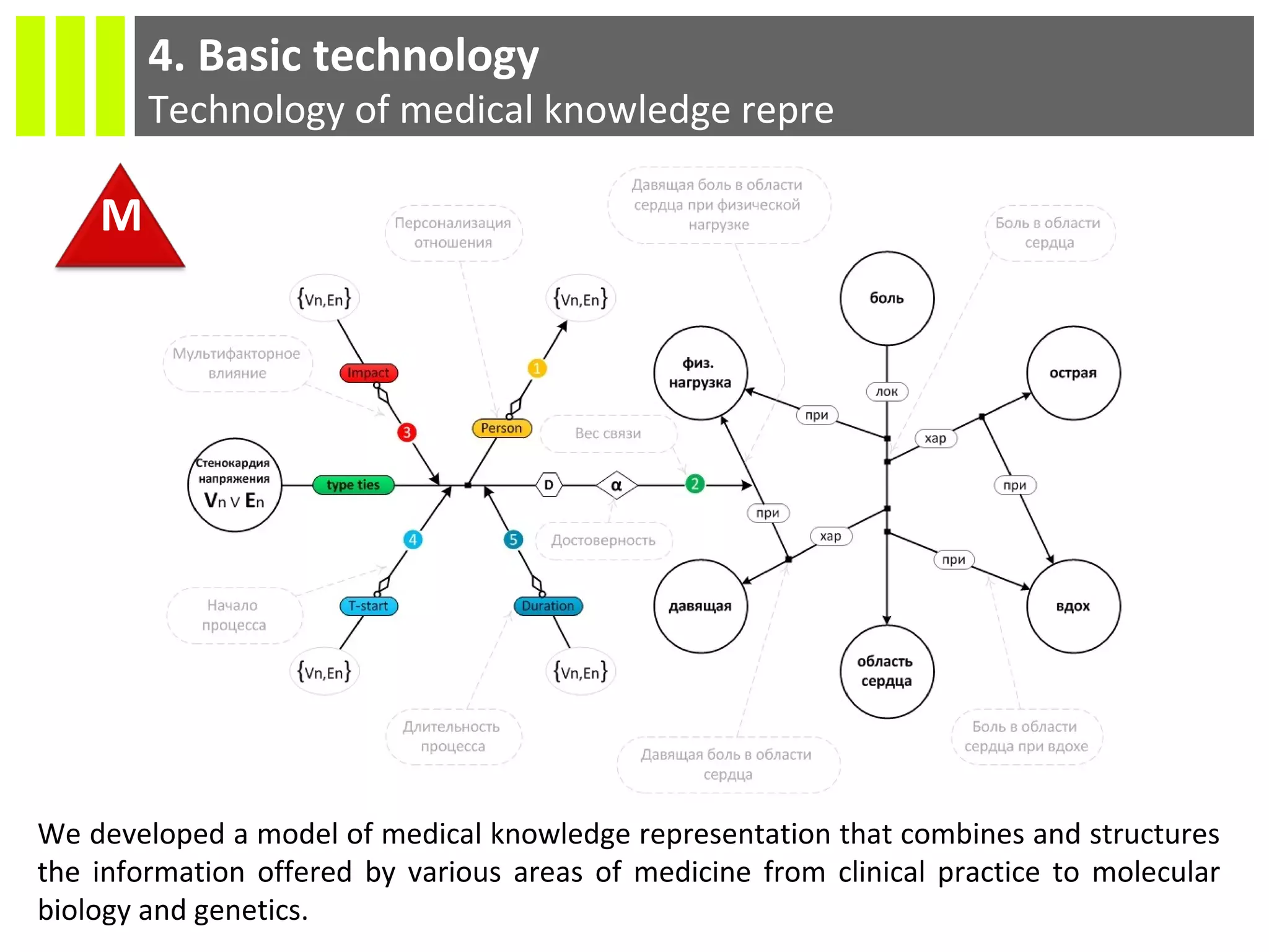 4. Basic technology
Technology of medical knowledge repre
М
We developed a model of medical knowledge representation that combines and structures
the information offered by various areas of medicine from clinical practice to molecular
biology and genetics.
 