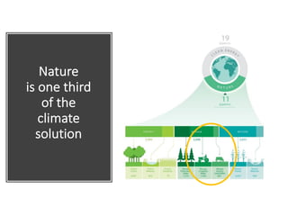 Enhancing investment in soil health and carbon storage: Frontiers for linking finance and carbon accounting