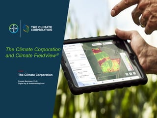 Enhancing investment in soil health and carbon storage: Frontiers for linking finance and carbon accounting