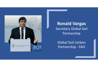 Enhancing investment in soil health and carbon storage: Frontiers for linking finance and carbon accounting