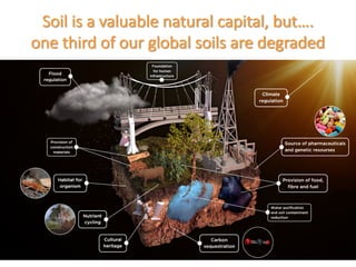 Enhancing investment in soil health and carbon storage: Frontiers for linking finance and carbon accounting