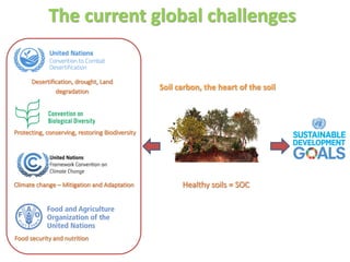 Enhancing investment in soil health and carbon storage: Frontiers for linking finance and carbon accounting