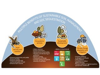 Enhancing investment in soil health and carbon storage: Frontiers for linking finance and carbon accounting