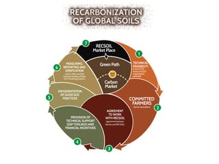 Enhancing investment in soil health and carbon storage: Frontiers for linking finance and carbon accounting