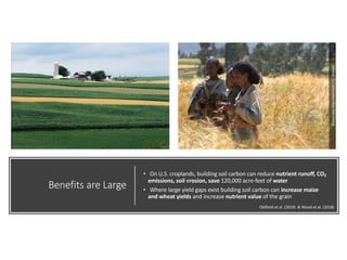 Enhancing investment in soil health and carbon storage: Frontiers for linking finance and carbon accounting